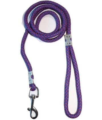 Tame Love - Multicolor Dog Leash (Medium)