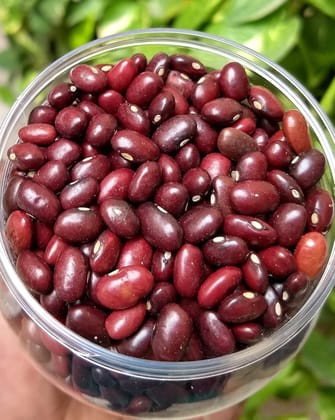 Organic Rajma (Red) 1 KG Organic Rajma (Red) 1 KG