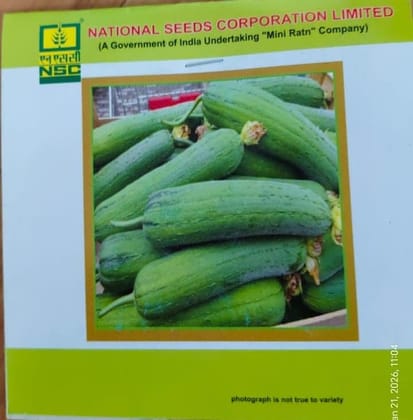 Sponge Gourd – Kashi Shreya