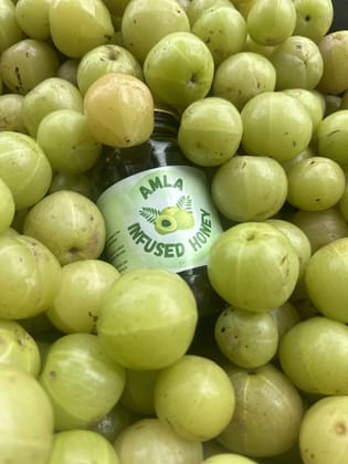 AMLA INFUSED HONEY 500GM JAR AMLA INFUSED HONEY 500GM JAR