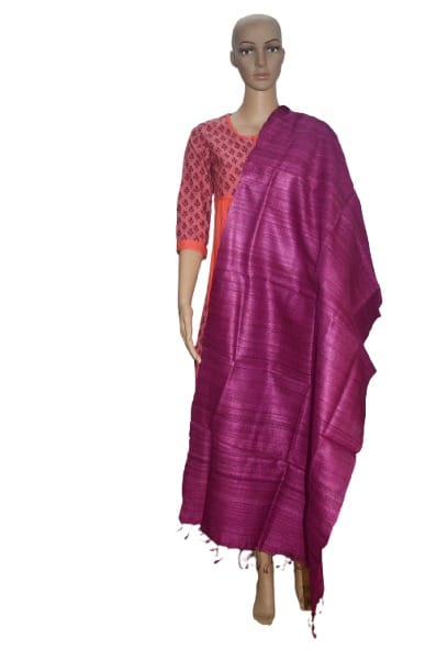 Pure Tussar Gheecha Colour Stole