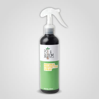 Protection Spray 500 ml