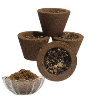 Goseva Dashang Dhoop Cup (12 Pcs)