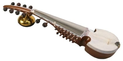 Special Sarod