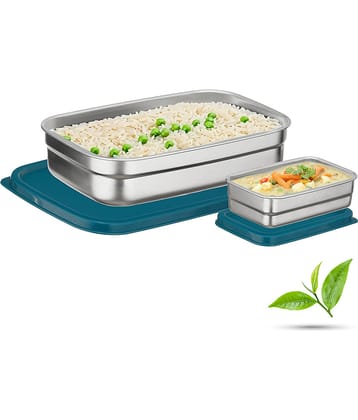 Trueware Bent Steel Stainless Steel School Lunch Boxes 2 - Container ( Pack of 1 )