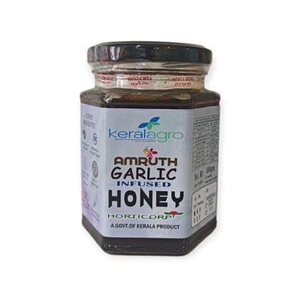 Amruth Garlic Infused Honey - 300 gm