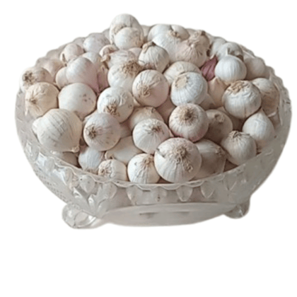 AMMUSCO Premium Single Clove Garlic – Natural Solo Garlic Bulbs for Cooking, Pickle & Herbal Use