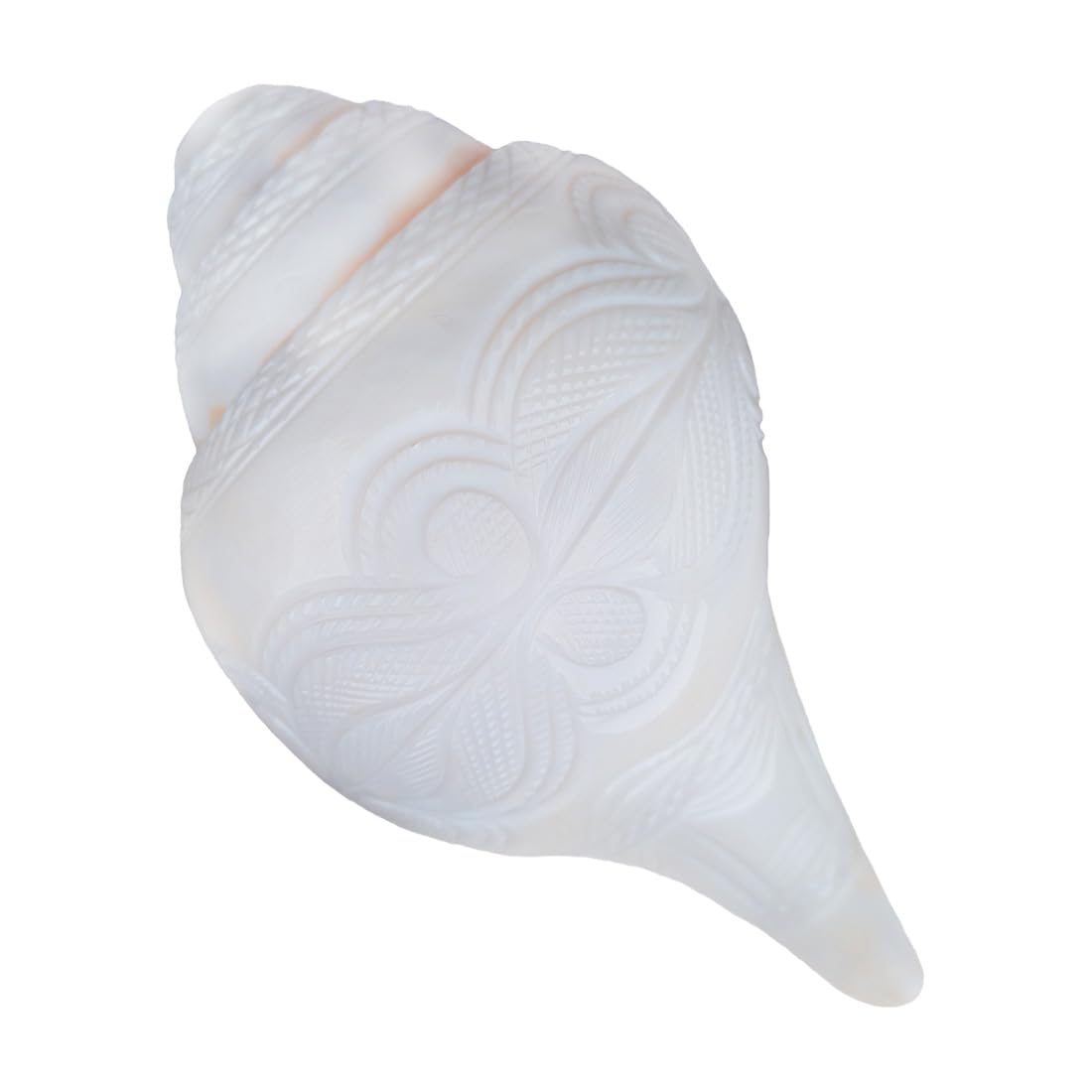 MAYAPURI Blowing Shankh Traditional Hindu Ceremonial Conch Shell for Worship and D�cor (Size-7-Inch)