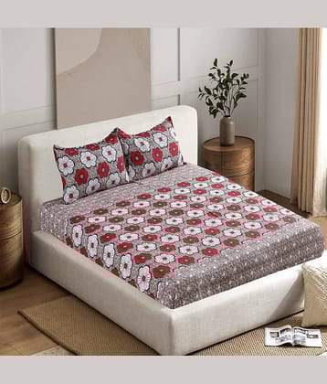 Valtellina Poly Cotton 1 Double Bedsheet with 2 Pillow Covers ( Beige )