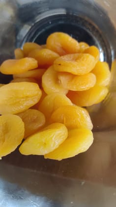 NUTZ PLUZ DELIGHTZ DRIED APROCIT 250g