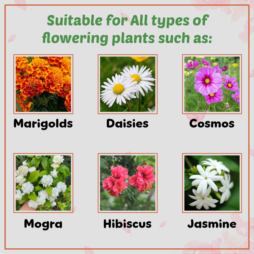 Garden Genie Flower Booster for Flowering Plants 830g | Essential Organic Growth Fertilizer for All Flower Plants, Powder