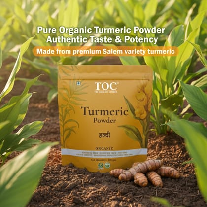 The Organic Citizen- Salem Variety Organic Turmeric Powder (500 Gm) | Naturally Grown, Stonegrinded Haldi Powder | Good for Digestive & Skin Health | Ground Turmeric