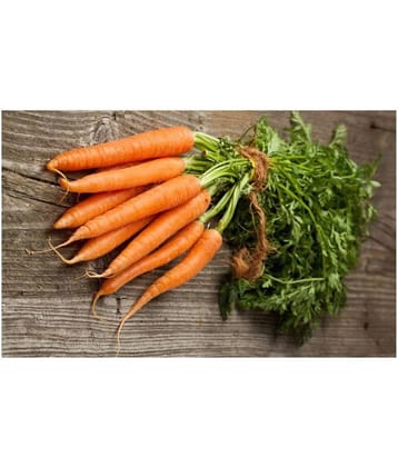 Carrot Orange Seeds (Gaajar) Pack of 100 Seeds by Amazonite Enterprises