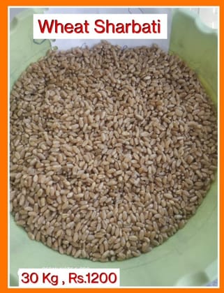 Sharbati Wheat Grains (30kg) | Premium Golden Texture | Ideal for Soft Rotis
