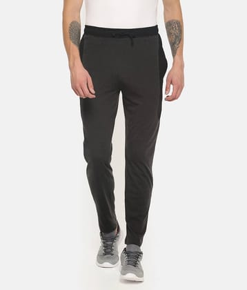 Dollar Grey Cotton Trackpants
