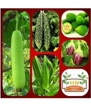 Vegetable Seeds combo for Kitchen Garden - 35+ Seeds | Easy to Grow with Instruction Manual