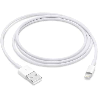 Apple Lightning to USB Cable