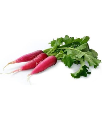 Red Radish Seeds, Radish Full Red, Radish (Mooli) Seeds - 100 Seeds