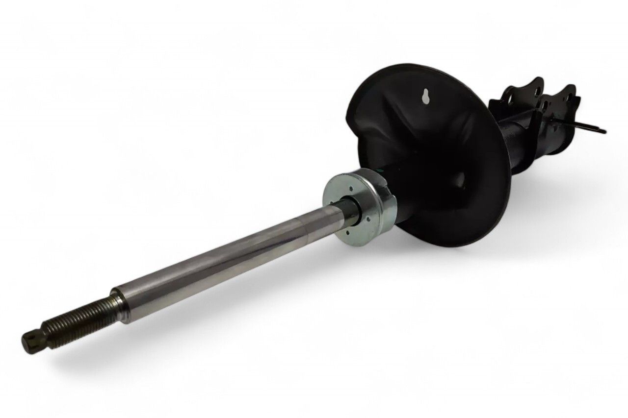 Gabriel Front Suspension Strut - LH AM-D02320