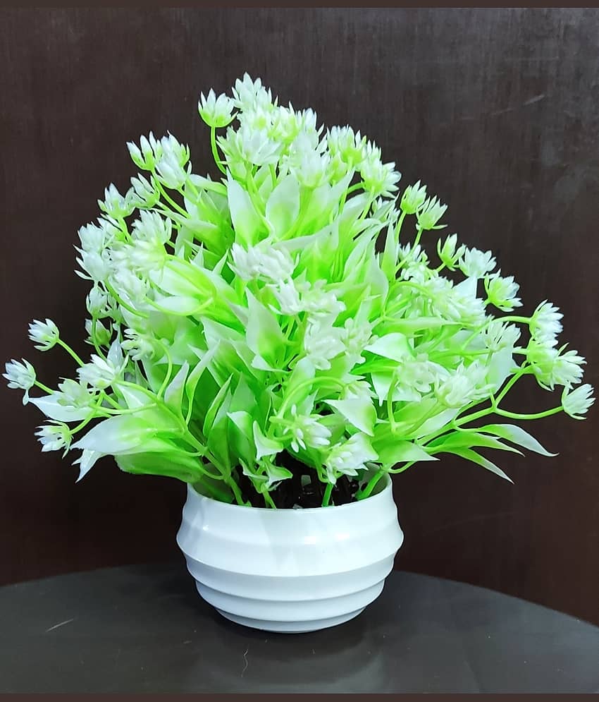 BAARIG - Off White Fern Artificial Bonsai ( Pack of 1 )
