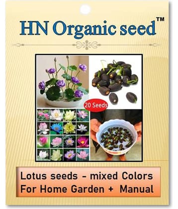 homeagro - Flower Seeds ( Lotus seeds -mixed colours 20 seeds )