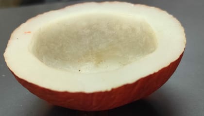 KHOPRA VATI 250g KHOPRA VATI 250g