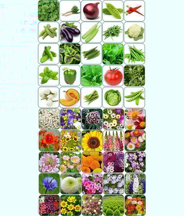 Aero Seeds Combo Pack Of 25 Varieties Flower Seeds 25 Varieties Vegetable Seeds