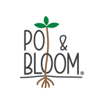 Pot and Bloom