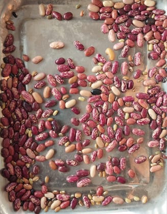 Naturally Grown Rajma