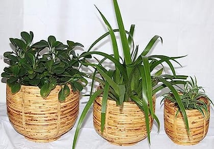 Dastkar Crafts Cane Pot Planter Tub U Shape Base by RDE Collections (Set of 3 - Small, Medium and Large)