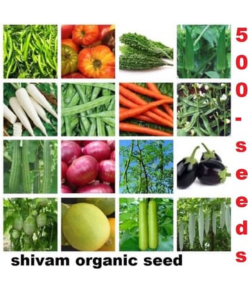16 Variety Vegetable Best Quality Combo Seeds - Pack Of 500+ Hybrid Seeds
