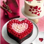 Cake Hi Cake