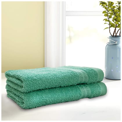 Welspun Splendor Cotton Hand Towel (Set of 2)