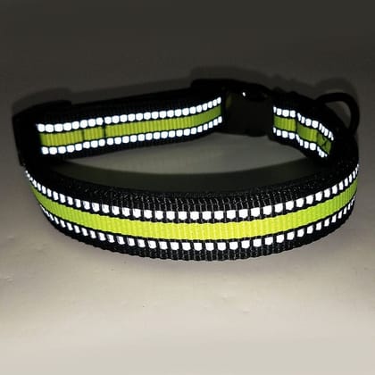 Radium Collar 1 inch 25mm (Lime)