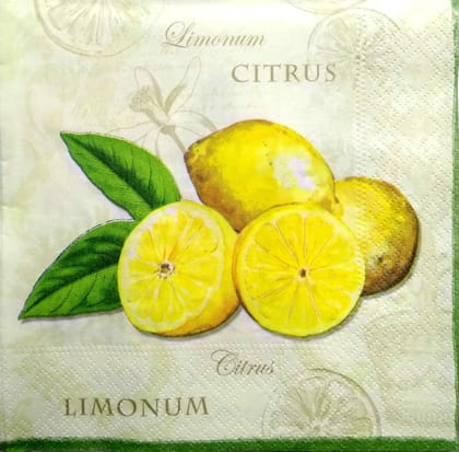 Decoupage Napkin / Tissue papers - 33cm by 33cm - GT2077