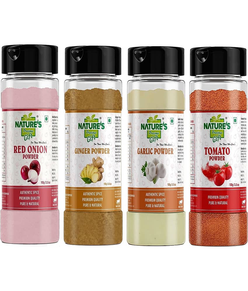 Natures Gift - 100 gm Garlic Powder (Pack of 4)