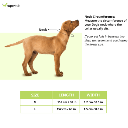 Chullbull Behavioral Training Choke Chain for Dogs (Silver) Chullbull Behavioral Training Choke Chain for Dogs (Silver) - L Chullbull Behavioral Training Choke Chain for Dogs (Silver) Chullbull Behavioral Training Choke Chain for Dogs (Silver) - L