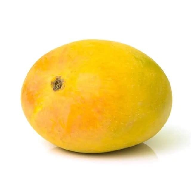 Alphonso Mango