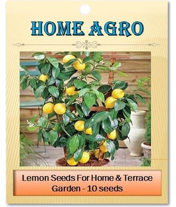 homeagro - Vegetable Seeds ( 10 seed )