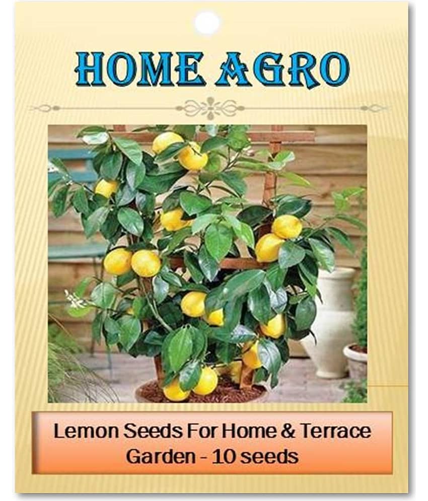 homeagro - Vegetable Seeds ( 10 seed )