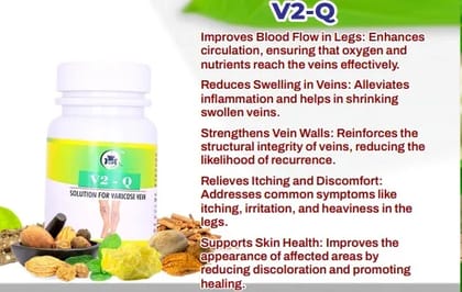 V2-Q