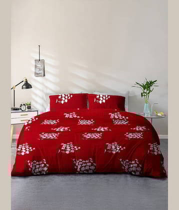 Cortina Microfiber 1 Double Queen Bedsheet with 2 Pillow Covers ( Maroon )