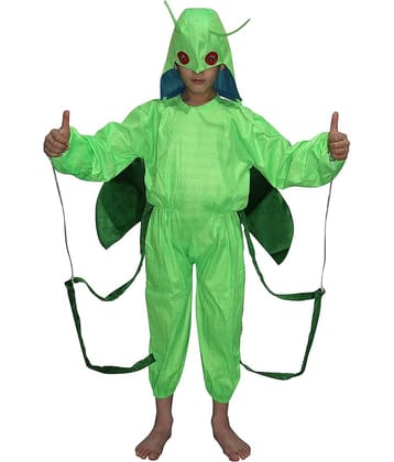 Kaku Fancy Dresses Grasshopper Insect Costume -Green, 3-4 Years, For Boys & Girls