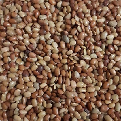 White Ulvalu/ White Horse Gram