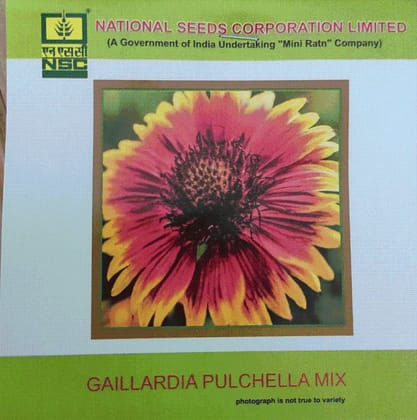 NSC Gaillardia Pulchella Mix Flower Seed