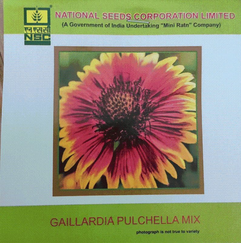NSC Gaillardia Pulchella Mix Flower Seed