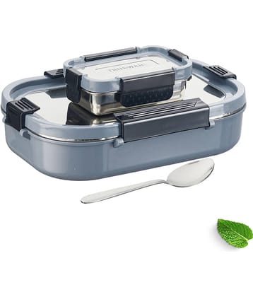 Trueware Clip Flip Outer Plastic Inner Stainless Steel Insulated Lunch Box 2 - Container ( Pack of 1 )