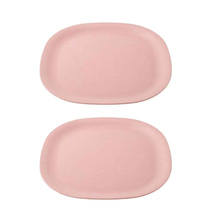 Rice husk And Bamboo Fiber Dinner Plates 11"-PLUSH PINK / OF 2