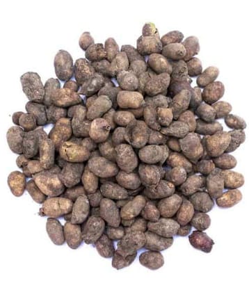 Nutrixia Food Jamun Seeds/????? ?? ??? /Syzygium Cumini/Jamun 100 gm