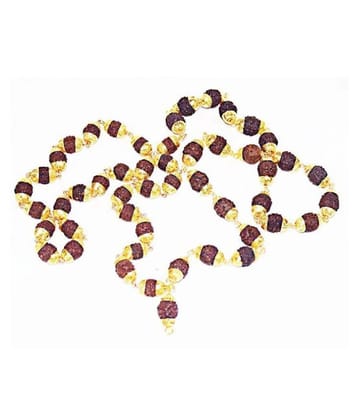 RUDRAKSHA GOLDEN CAP MALA WITH ORIGINAL 5 FACE RUDRAKSHA 6mm size RUDRA DIVINE self Certified - Brown